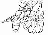 Lebah Mewarnai Printable Bees Abeille Sketsa Buku Lukisan Coloriages Drawing Windusari Bt5 Drawings Colorier sketch template