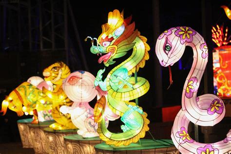 chinese lanterns light  cary   holidays wunc