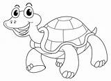 Turtle Adobe Licensed sketch template