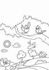 Tuin Vogels Lente Disegno Colorare Uccelli sketch template