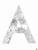 Alphabet Malvorlagen Erwachsene Ausmalen Zentangle Leslie Tillett Allday2 sketch template