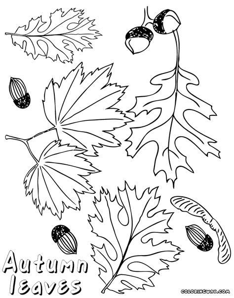 autumn coloring pages coloring pages    print