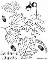 Autumn Coloring Pages Print sketch template