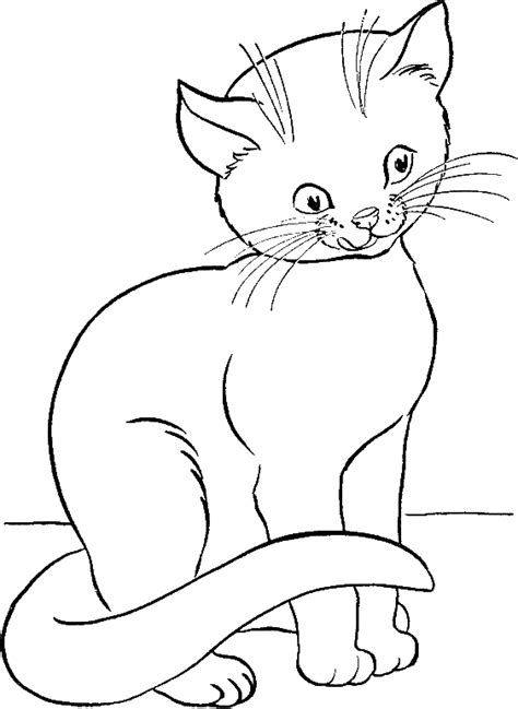 cat wait  packed coloring  kids animal coloring pages