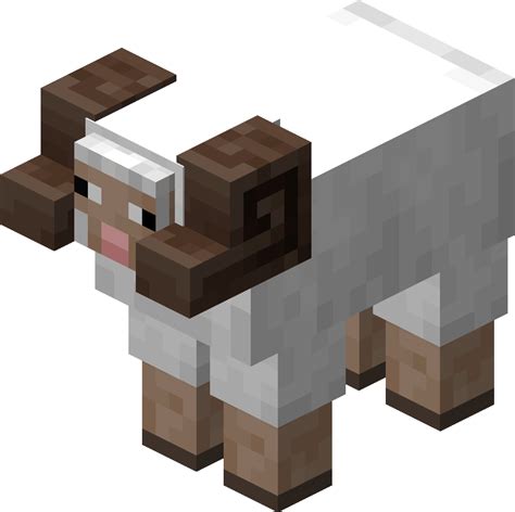 horned sheep official minecraft wiki