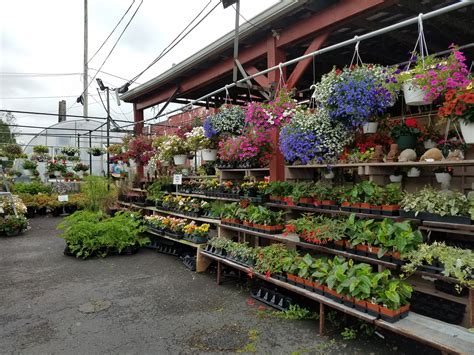 local garden centers      great year   covid