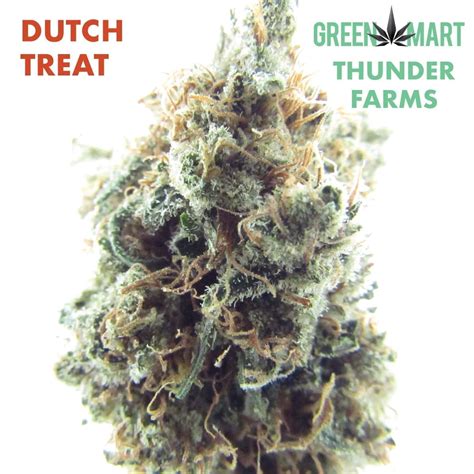dutch treat green mart beaverton