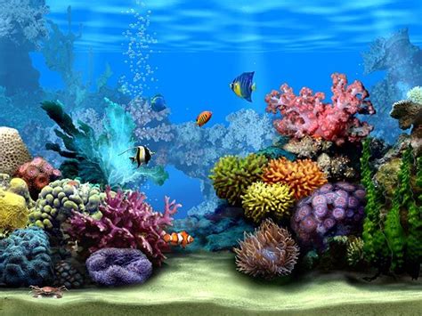 wallpaper of waterfalls moving living marine aquarium 2 animated wallpaper download freely