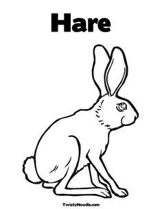 hare designs ideas hare bunny art rabbit art