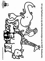 Dieren Giraf Olifant Neushoorn Tiere Animals Malvorlagen Wnf Ausmalbilder Titanic Karneval Bron Bestelcode Categorie Coloringpages1001 sketch template