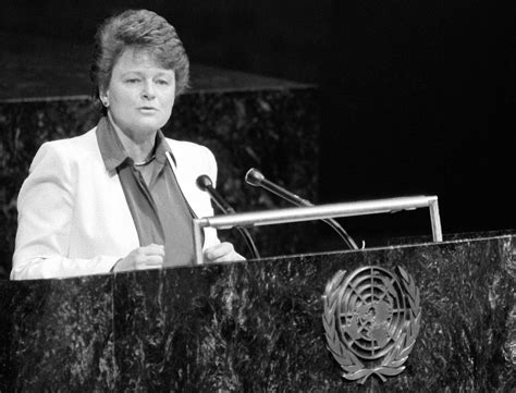 podcast   sustainable common future  brundtland report  historical perspective