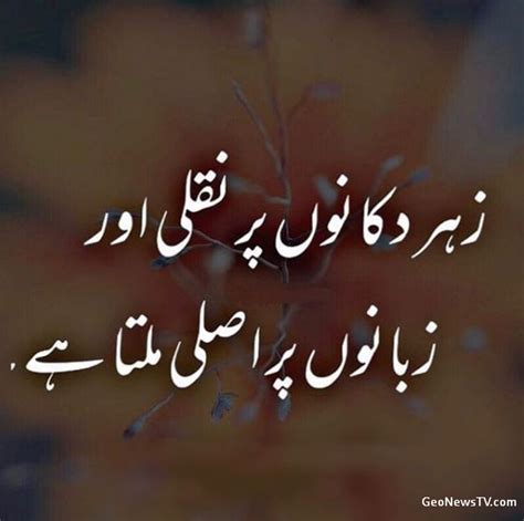 short poetry  urdu urdu poetry sms urdu shayre amazing poetry