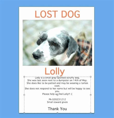 lost dog flyers template fresh lost dog flyer template printable lost