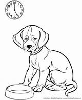 Coloring Pages Dog Dogs Puppies Hungry Honkingdonkey Kids sketch template