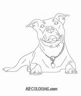 Coloring Pages Pitbull Pitbulls Dog Bull Coloringhome Red Color Printable Pit Dogs Getcolorings Comments Books Wicked Only sketch template