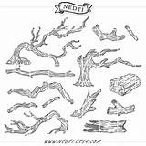 Driftwood Clipart Drawing Wood Tree Log Branches Branch Clip Vector Drawings Sketch Paintingvalley Choose Board Trees 25kb 570px sketch template