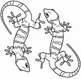 Coloring Lizard Gecko Pages Printable Kids Cute Geckos Realistic Frilled Drawing Template Color Sheets Print Desert Bestcoloringpagesforkids Getcolorings Preschool Animal sketch template