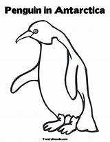 Antarctica Antartica Pinguin Adelie Continent Penguins Twistynoodle Kidsuki sketch template