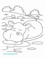 Coloring Pages Snorkeling Getdrawings Hippo sketch template