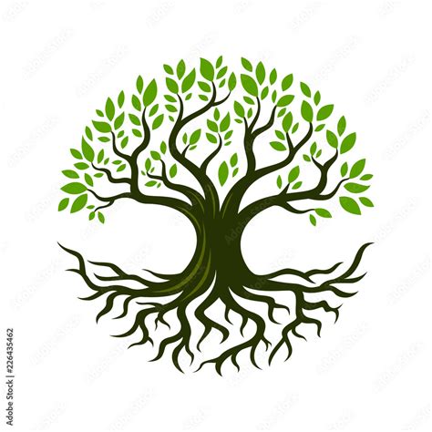 tree root design illustration stock vector adobe stock