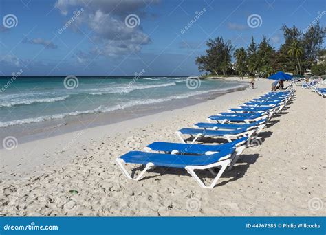 Sun Loungers At Rockley Beach Barbados Editorial Image Image Of Beach