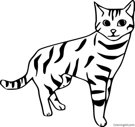 printable wild cats coloring pages easy  print