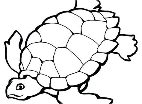 simple turtle coloring pages ideas  kids turtle coloring pages