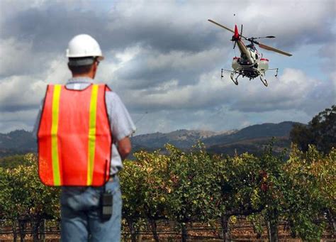 drones   familiar sight  wine country wine country drone sights