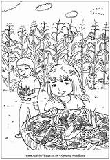Corn Picking Coloring Colouring Pages Harvest Fall Kids Field Sheets Thanksgiving Sheet Activity Children Activityvillage Colour Color Printable Festival Halloween sketch template