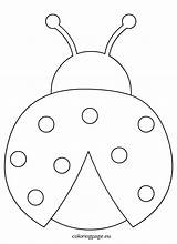 Ladybug Outline Coloring Printable Templates Preschool Felt Wikiclipart Crafts sketch template