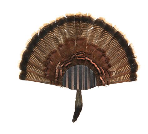 turkey mounts turkey fan mineral point rubber grommets table top