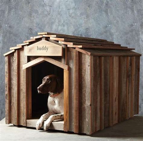 diy indoor dog kennel design ideas