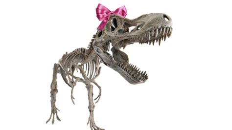 Can We Determine The Sex Of A Dinosaur Mental Floss