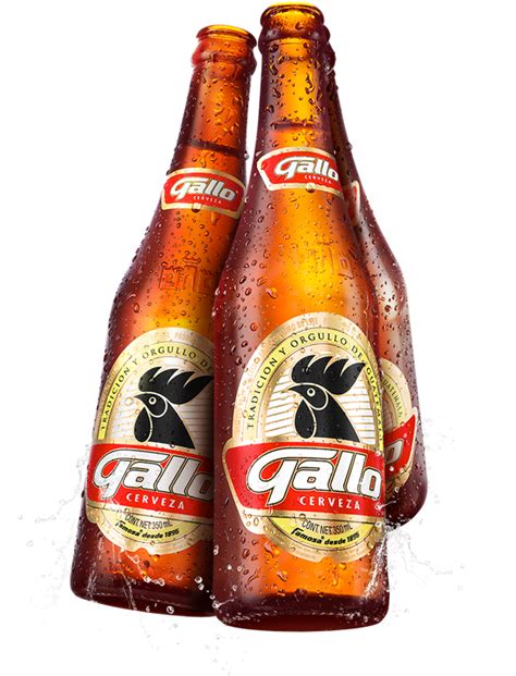 Cerveza Gallo Guatemala