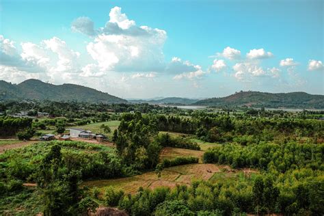 farmland  stock photo