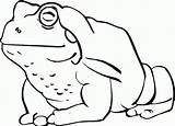 Toad Coloring Pages Printable Kids Clipart Cartoon Toads Cliparts Outline Color American Library Categories sketch template