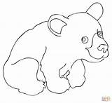 Cub Bears Print Ours Supercoloring Getdrawings Getcolorings sketch template