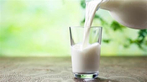 alimentos leche descubre sus propiedades beneficios  valor nutricional