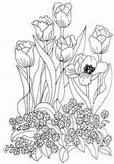 Colorat Flori Planse Coloriage Primavara Tulipe Lalele Coloriages Scrigroup Primăvară Asemanatoare Articole Relatate Interferente Patterns sketch template