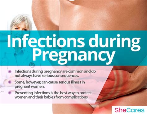 Infections During Pregnancy Shecares