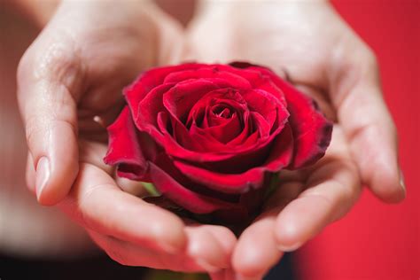 8 Ways To Get The Best Value On Valentine’s Flowers