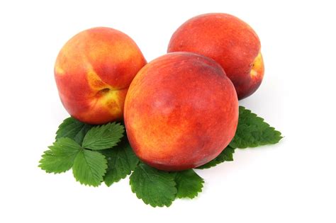 peaches astonishing health returns  consumption health  hale