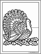 Coloring Thanksgiving Pages Adults Fuzzy Printable Color Turkey Pdf Cute Acorns Print Leaves Customizable Favorite Pdfs Birthday Rainbow Colorwithfuzzy Turkeys sketch template