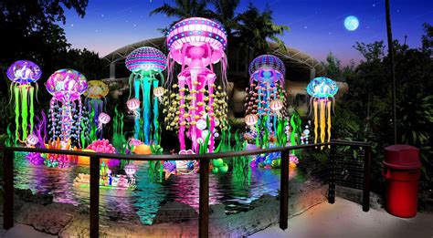 chinese lantern festival   florida eco adventure park