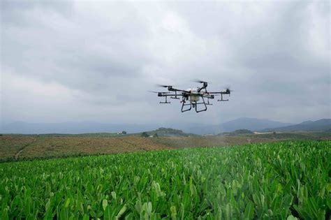 drones na agricultura quais sao os melhores  como usa los hpdrones