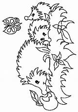 Fun Kids Coloring Hedgehogs sketch template