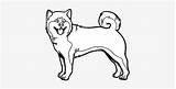 Shiba Inu Akita Dog Nicepng Puppy sketch template