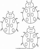 Ladybugs Ladybug Escarabajos Three Coloringbay sketch template