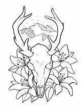 Skull Deer Drawing Mule Tumblr Head Getdrawings sketch template