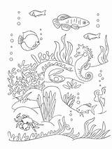 Coloring Sea Anemone Seaweed Book Pages Bottom Draw Getcolorings Getdrawings Pag sketch template